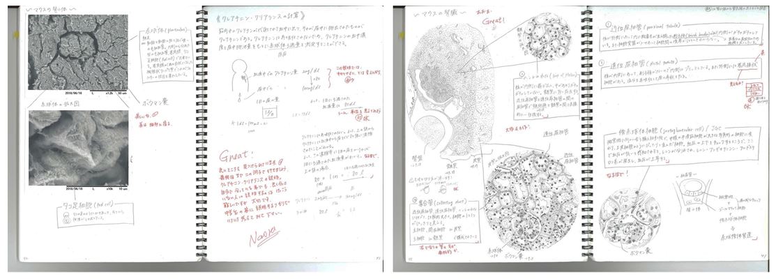 学生ノート