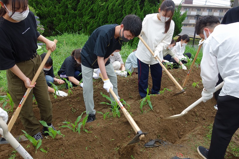 自分たちで作業をしている様子