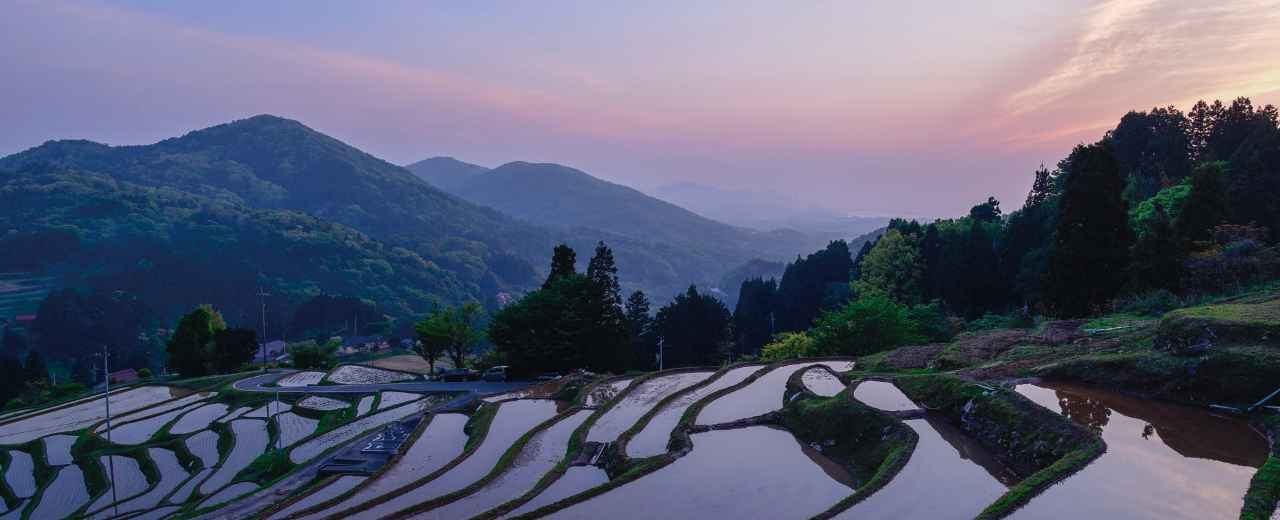 地域連携 写真